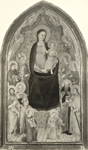 Anonimo — Maestro della predella dell'Ashmolean Museum - sec. XIV - Madonna con Bambino in trono tra angeli e santi — insieme